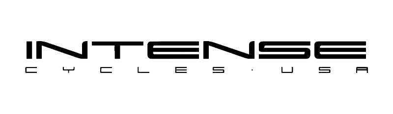 logo intense